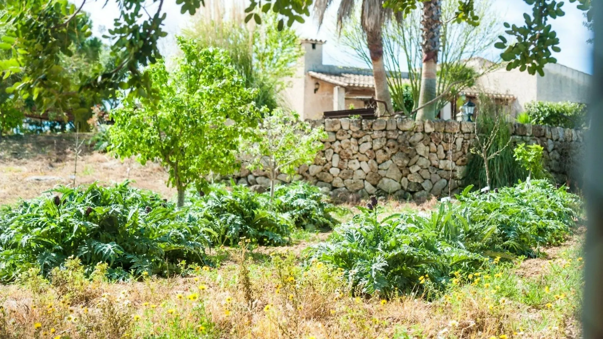 Villa Vila Santa Margalida